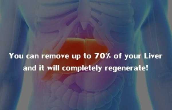 human body facts 19 20 Facts Worth Knowing About Our Bodies (20 photos)