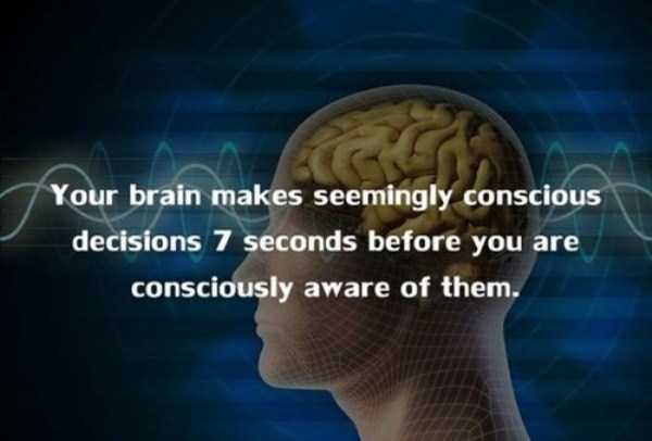 human body facts 20 20 Facts Worth Knowing About Our Bodies (20 photos)