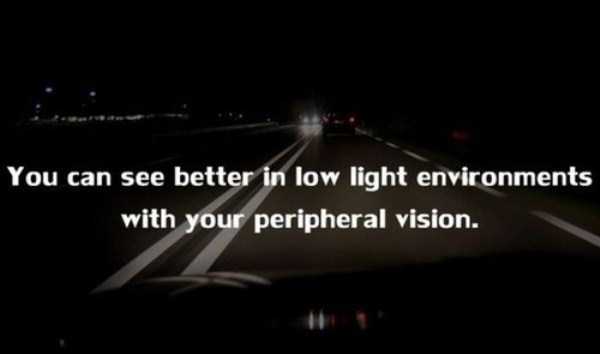 human body facts 3 20 Facts Worth Knowing About Our Bodies (20 photos)