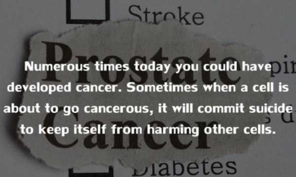 human body facts 4 20 Facts Worth Knowing About Our Bodies (20 photos)