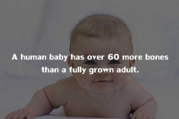 human body facts 9 20 Facts Worth Knowing About Our Bodies (20 photos)