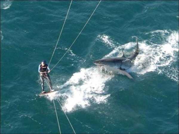 Sometimes Panic is Justified (40 photos)
