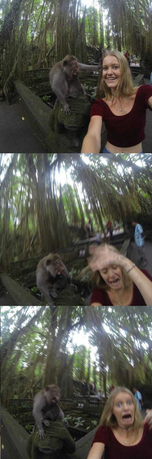 Sometimes Panic is Justified (40 photos)