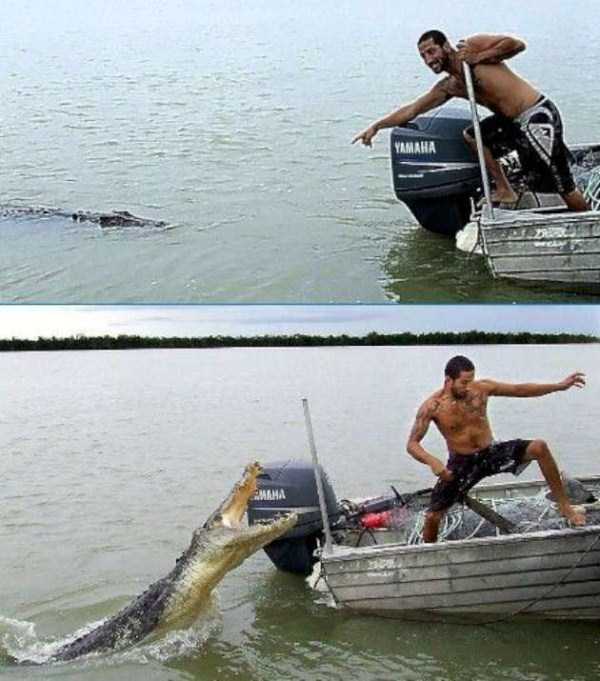 Sometimes Panic is Justified (40 photos)
