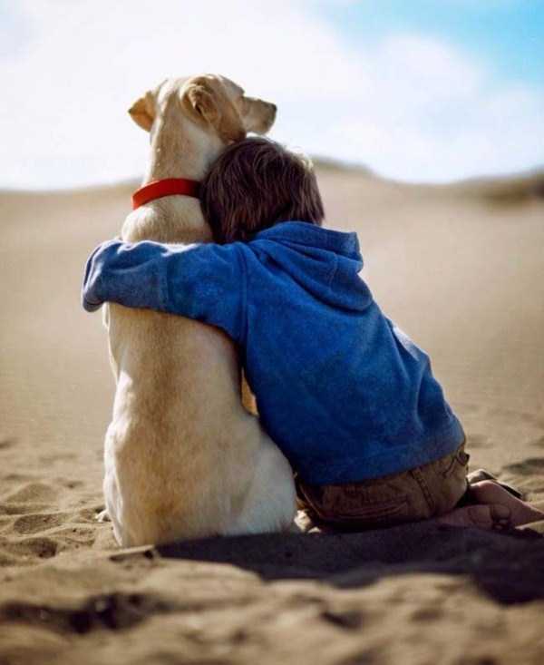 Excellent Reasons Why Your Kids Should Have a Pet (35 photos)