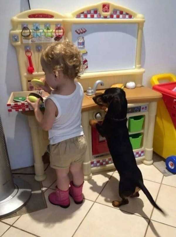 Excellent Reasons Why Your Kids Should Have a Pet (35 photos)
