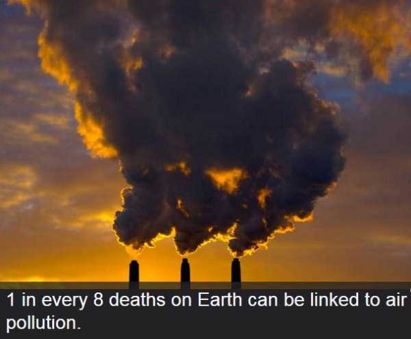 Shocking and Dramatic Facts About Pollution (15 photos)