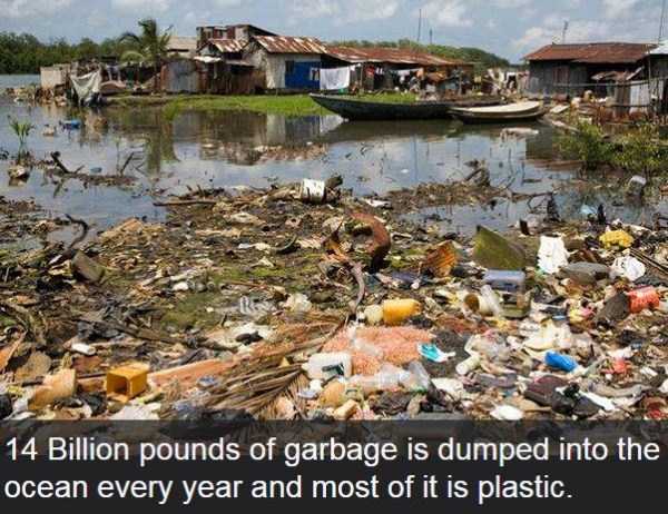 Shocking and Dramatic Facts About Pollution (15 photos)