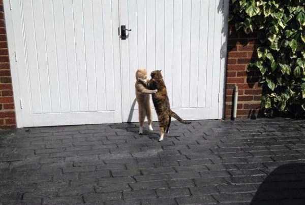 Perfectly Timed Photos (45 photos)