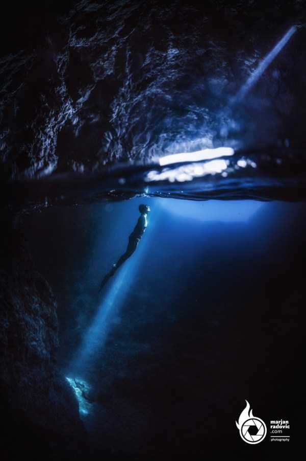 Mesmerizing Photos of Life Underwater (45 photos)