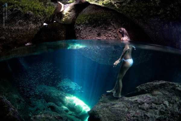Mesmerizing Photos of Life Underwater (45 photos)
