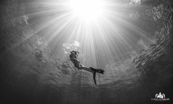 Mesmerizing Photos of Life Underwater (45 photos)