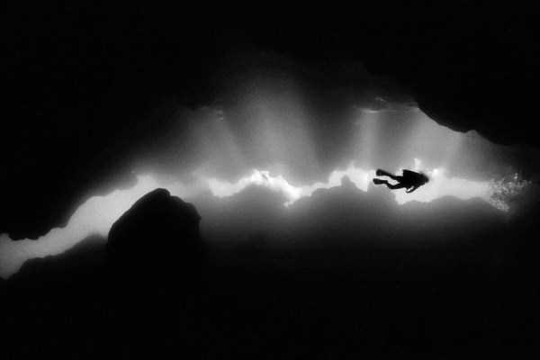 Mesmerizing Photos of Life Underwater (45 photos)