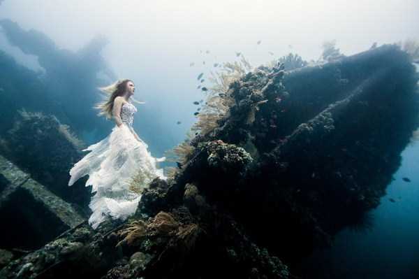 Mesmerizing Photos of Life Underwater (45 photos)