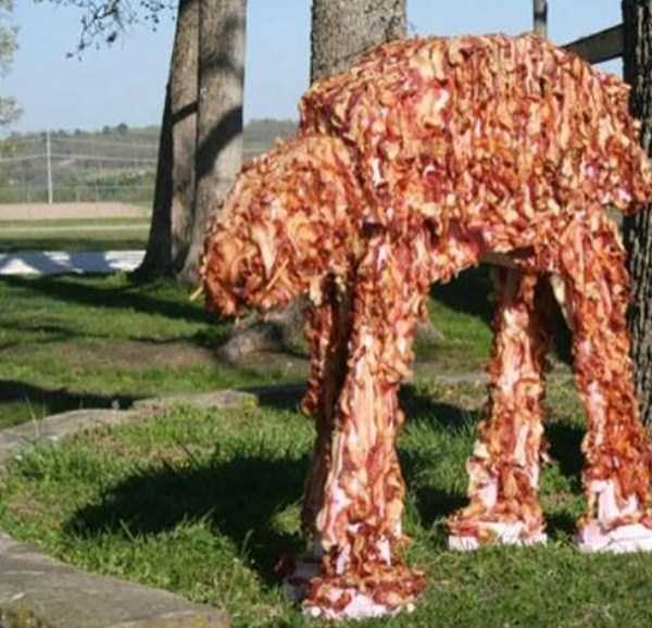 crazy things made out of bacon 10