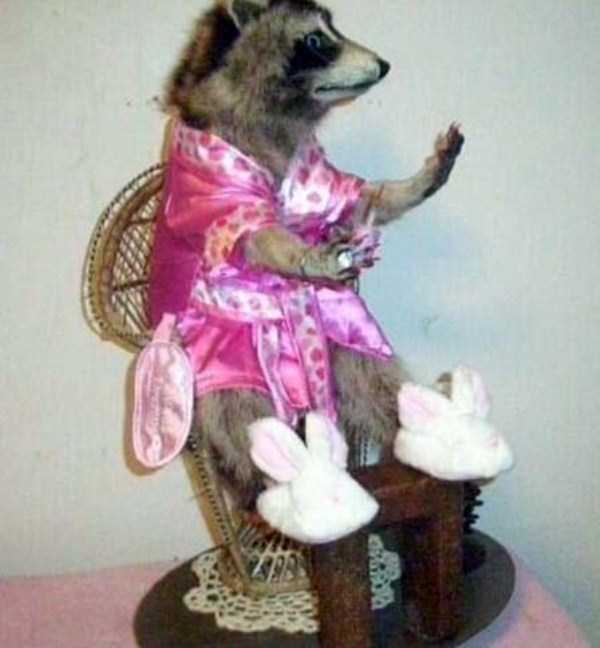 30 Hilariously Awful Examples of Taxidermy (30 photos)