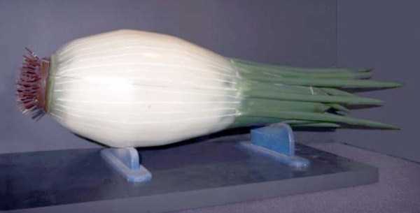 fantasy coffins from ghana 28 Trippy Looking Coffins from Ghana (37 photos)