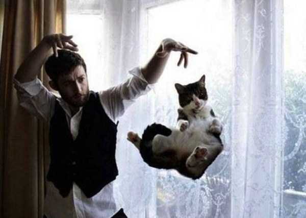 Perfectly Timed Animal Photos (90 photos)