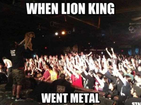 Funny Captions Make The Difference (71 photos)