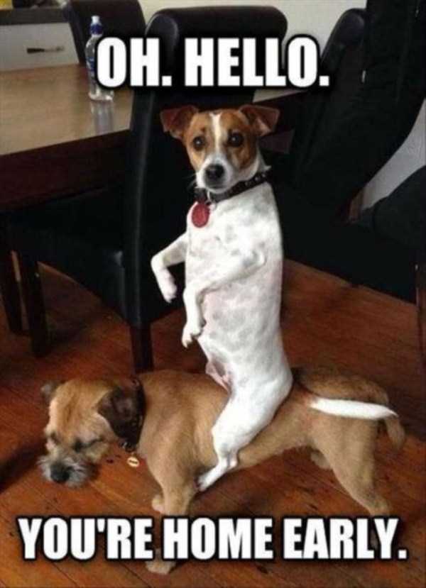 Funny Captions Make The Difference (71 photos)