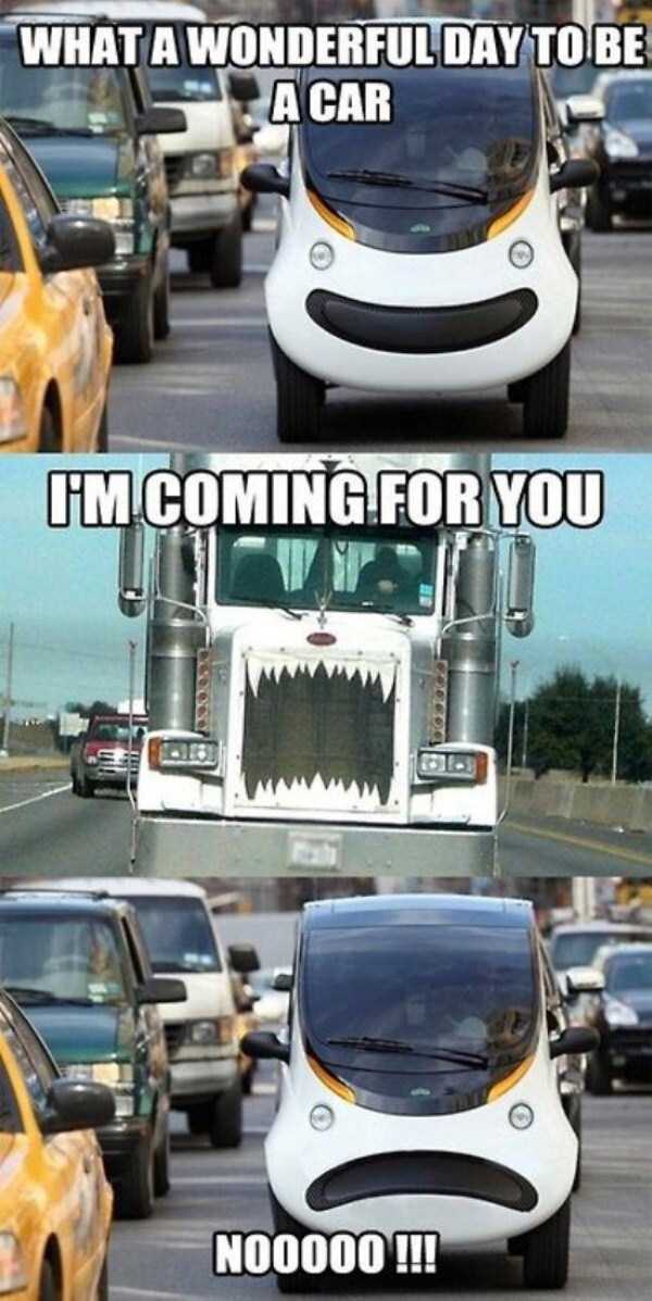 Funny Captions Make The Difference (71 photos)