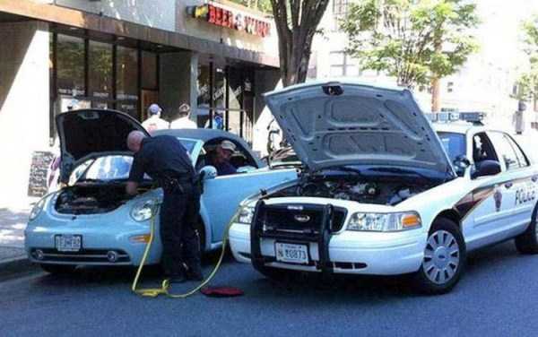 After All Cops Are Humans Just Like Us (60 photos)