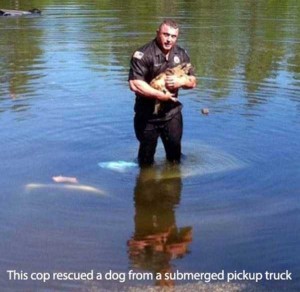 After All Cops Are Humans Just Like Us (60 photos) 16