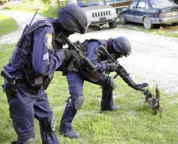 After All Cops Are Humans Just Like Us (60 photos)