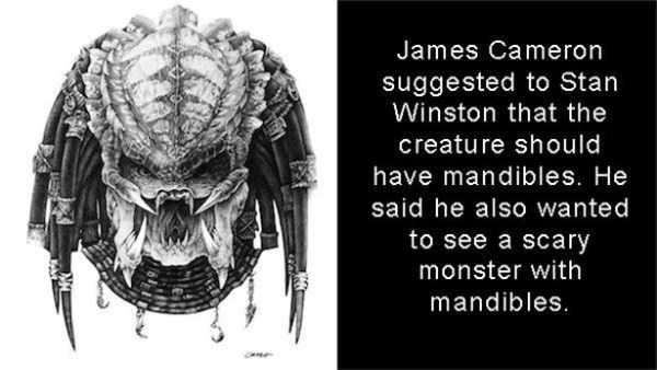 A Few Interesting Things About The Predator (16 photos)