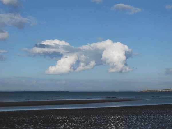 Unusually Shaped Clouds (38 photos)