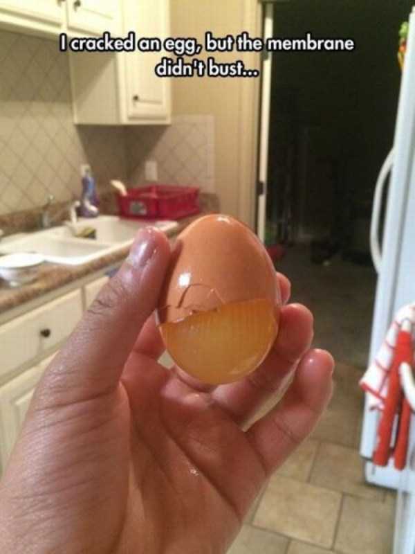 unusual situations 10 These Are Not Ordinary Everyday Situations (80 photos)