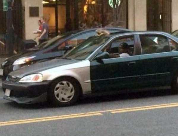 unusual situations 20 These Are Not Ordinary Everyday Situations (80 photos)