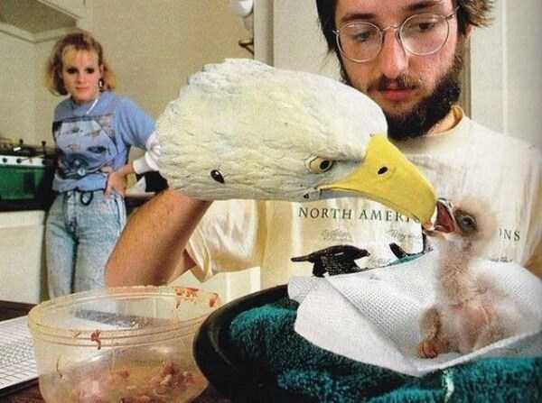 unusual situations 25 These Are Not Ordinary Everyday Situations (80 photos)