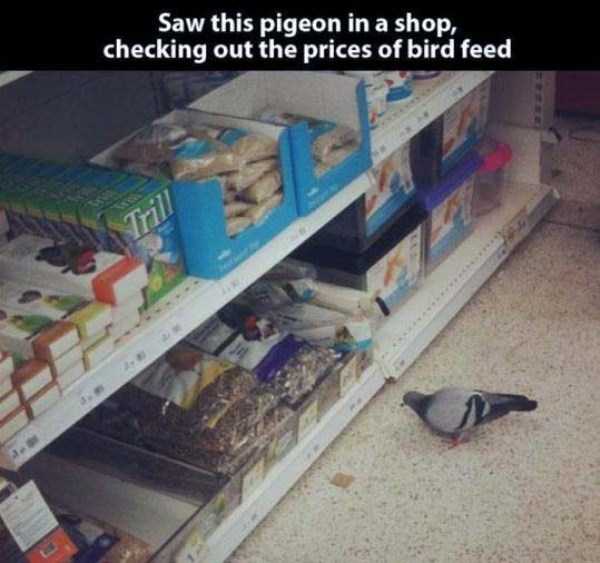 unusual situations 39 These Are Not Ordinary Everyday Situations (80 photos)