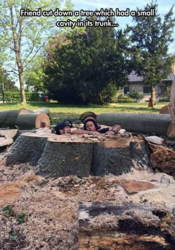 unusual situations 49 These Are Not Ordinary Everyday Situations (80 photos)