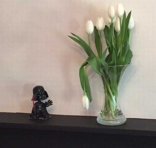 unusual situations 53 These Are Not Ordinary Everyday Situations (80 photos)