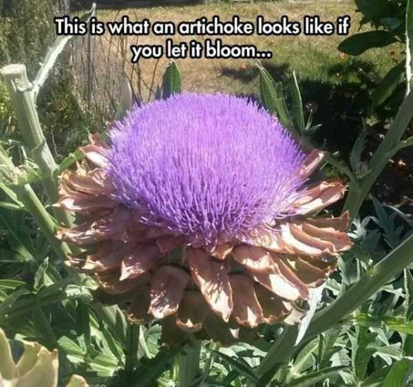 unusual situations 58 These Are Not Ordinary Everyday Situations (80 photos)