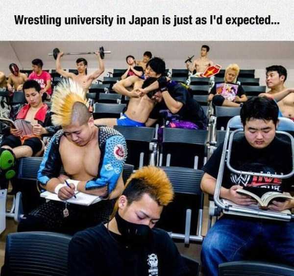 unusual situations 59 These Are Not Ordinary Everyday Situations (80 photos)