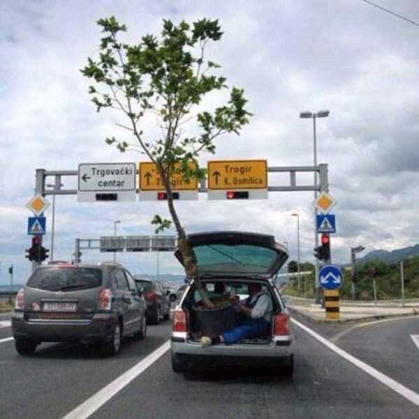 unusual situations 61 These Are Not Ordinary Everyday Situations (80 photos)