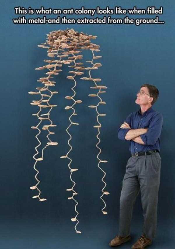 unusual situations 64 These Are Not Ordinary Everyday Situations (80 photos)