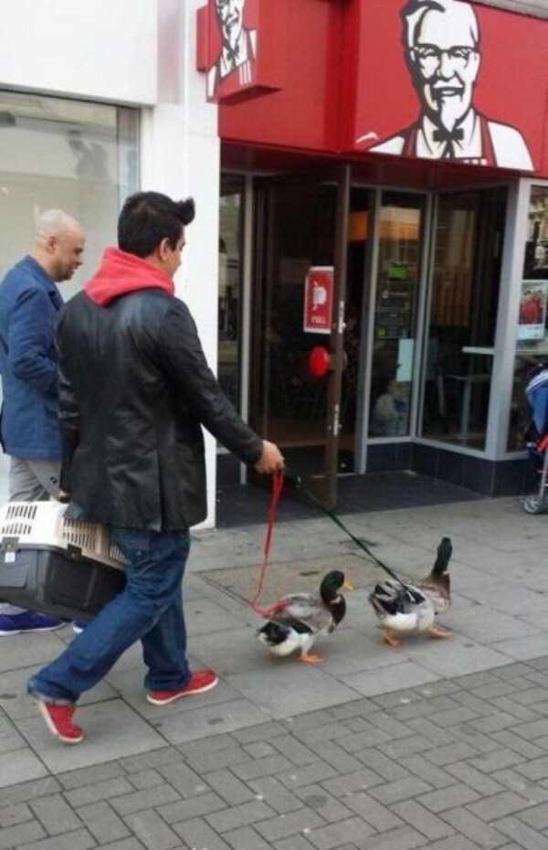 unusual situations 73 These Are Not Ordinary Everyday Situations (80 photos)