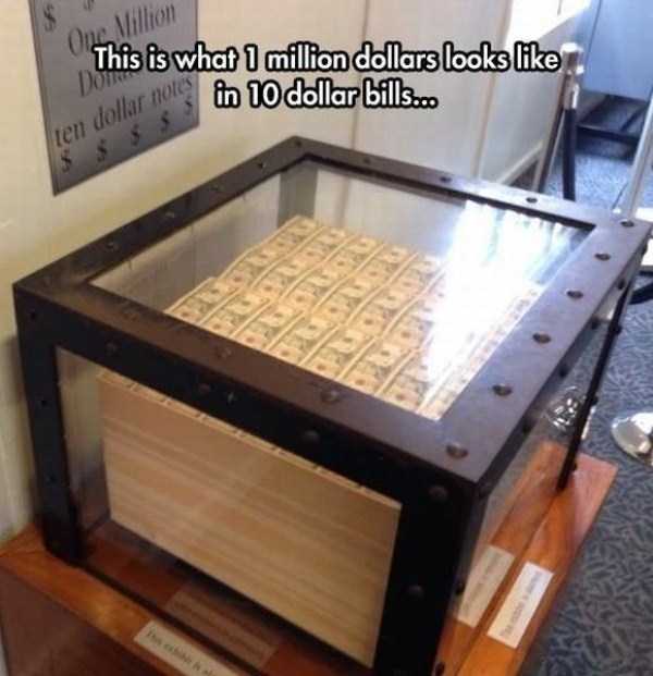 unusual situations 9 These Are Not Ordinary Everyday Situations (80 photos)