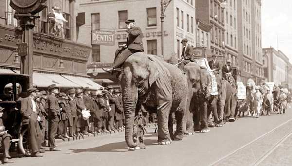 Circus Photos from a Time Long Gone (50 photos) 49