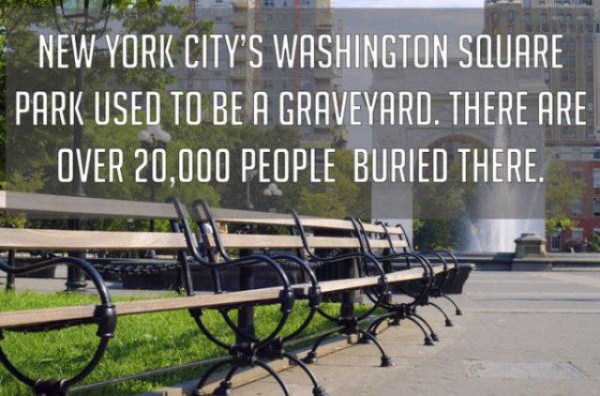 Crazy But True Facts About America (22 photos)