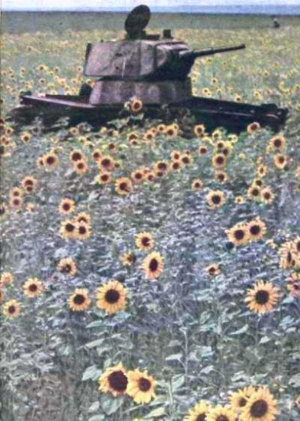 World War II Color Photographs (34 photos)