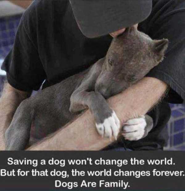 There Are Some Good People Among Us (30 photos)