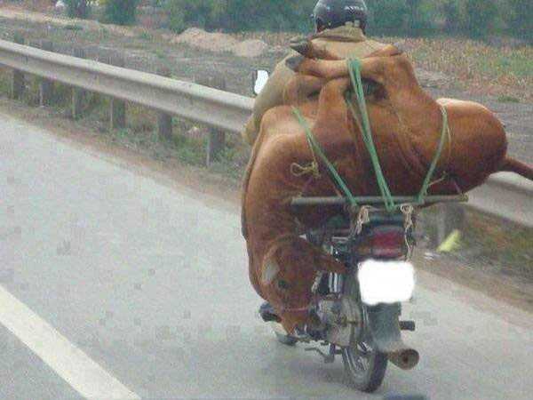 Heavily Loaded Motorcycles (37 photos)