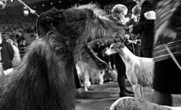 Perfectly Timed Photos (27 photos)