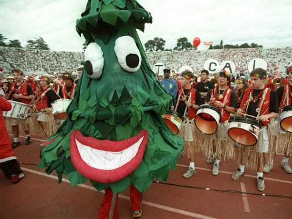 Ridiculously Ugly Mascots (32 photos)