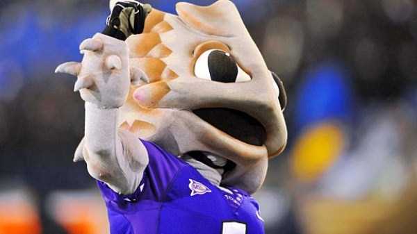 Ridiculously Ugly Mascots (32 photos)